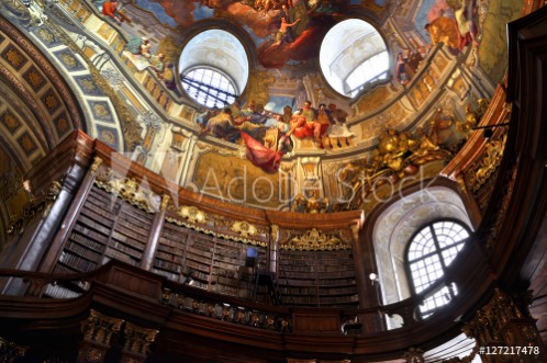 Picture of Vienna baroque library